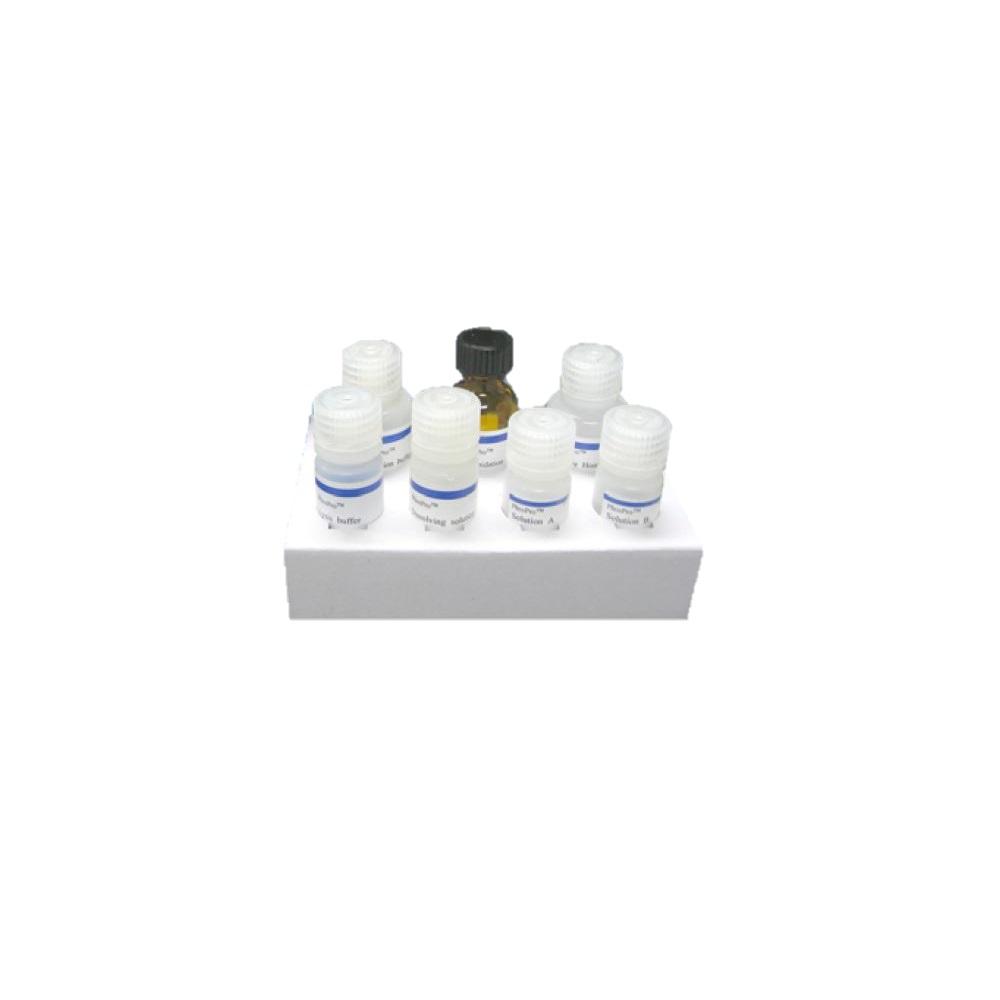 Antibody biotin conjugation kit