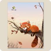 Microfiber Cleaning Cloth