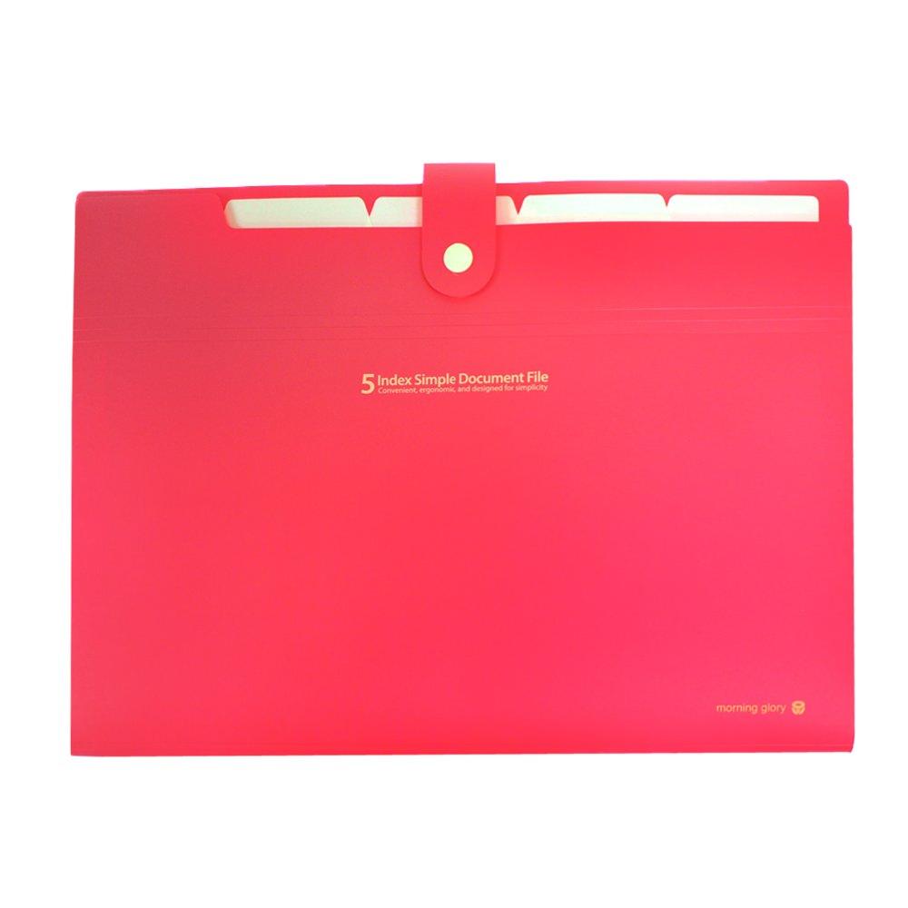 [Morning Glory] Clever 5 Classification Simple Document File