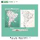 detail image1 Dream Sky Nation-Map Decorative Coloring Painting DIY Paper Continent Map - South America