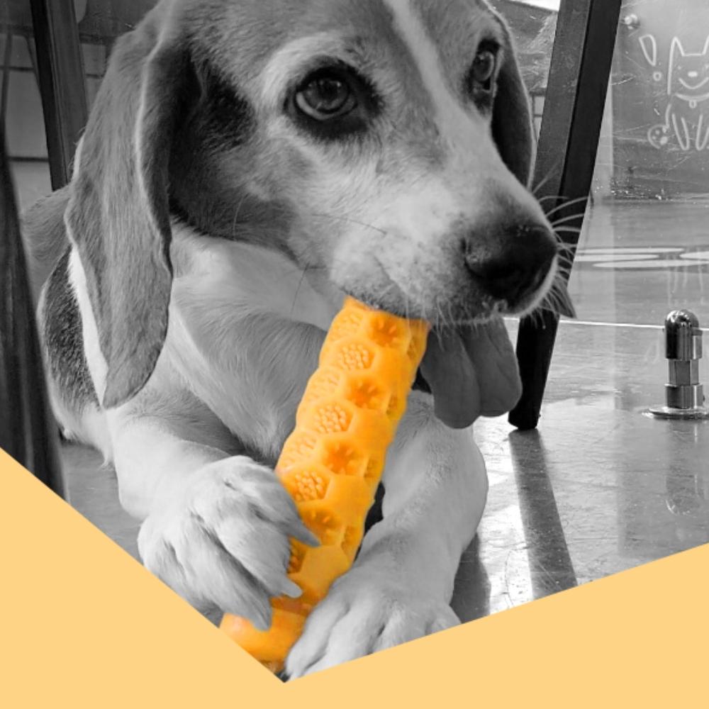 BelloPet Honeycomb Brush (S)