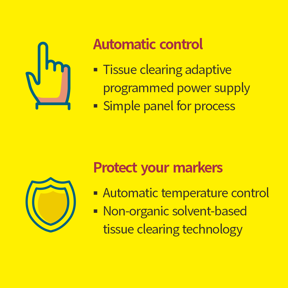 Binaree Tissue Clearing Rapid Solution