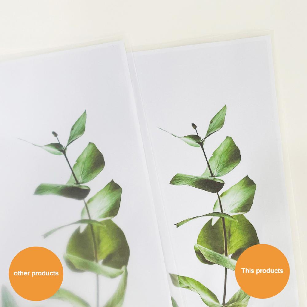 ORANGEOFFICE Sheet Protectors 8.5 x 11.6 inch Clear Page Protectors for 3