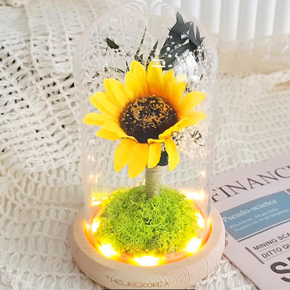 LED lucky sunflower glass dome mood light Gift