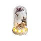 full image LED Cotton Glass Dome Mood Lamp Cozy Cotton Light