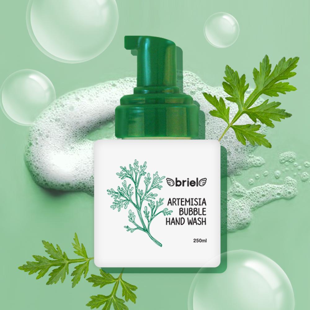 Briel artemisia bubble hand wash 250ml