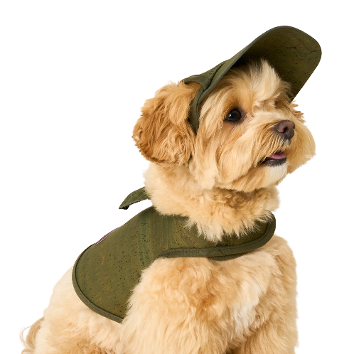 COCOGIO Cork Dog Hat_khaki | harness,pet,dog,eco,natural,walking,leash,collar,poopbag,hat,accessories,cap,cork