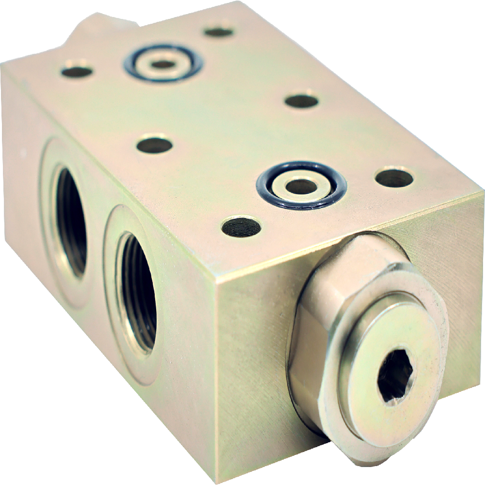 Double Pilot Check Valve