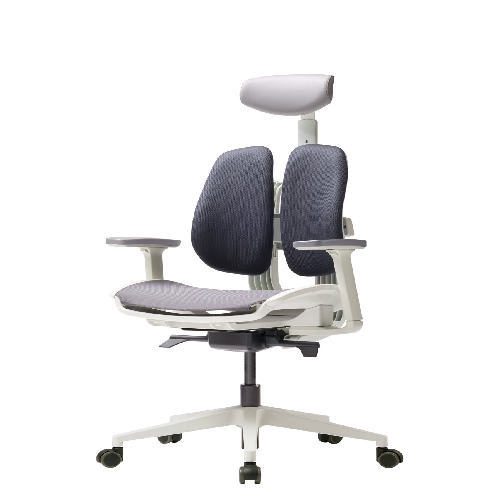 DX2 ergonomic office chair, task chair , home furniture