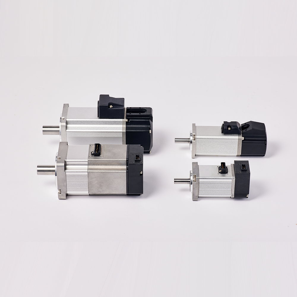 Ultra Small Servo Motor(AC & DC Low Voltage)